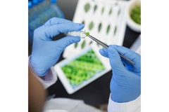 L’Oréal BOLD invested in biotech company Debut